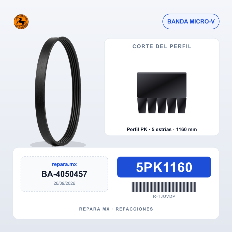 BANDA CONTINENTAL 5PK1160