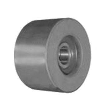 POLEA DAYCO APV2707 (89109)